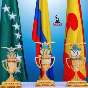 trofeo1 Trofeos Personalizados Natación